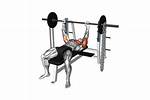 Do Chains Help Bench Press