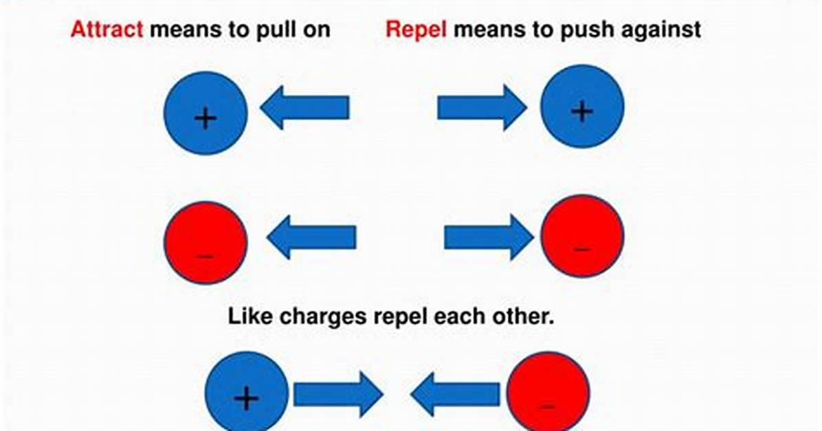 Do Charged Objects Attract Uncharged Objects?