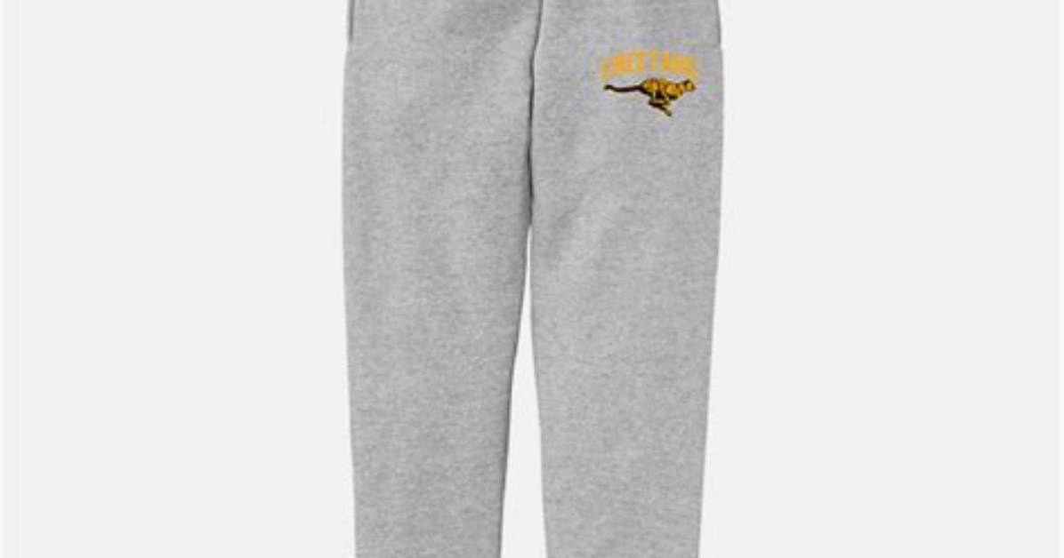 Do Cheetahs Sweat