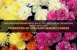 Do Chrysanthemums Repel Bugs?