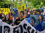 Do Climate Strikes Work?
