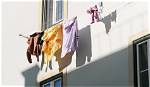 Do Clotheslines Save Money?