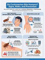 Do Cockroaches Bite