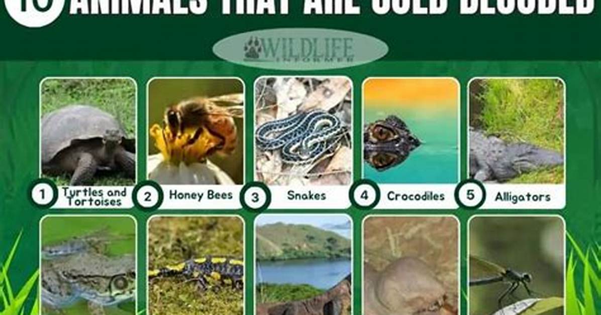 Do Cold-Blooded Animals Live?