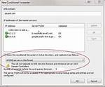 Do Conditional Forwarders Replicate?