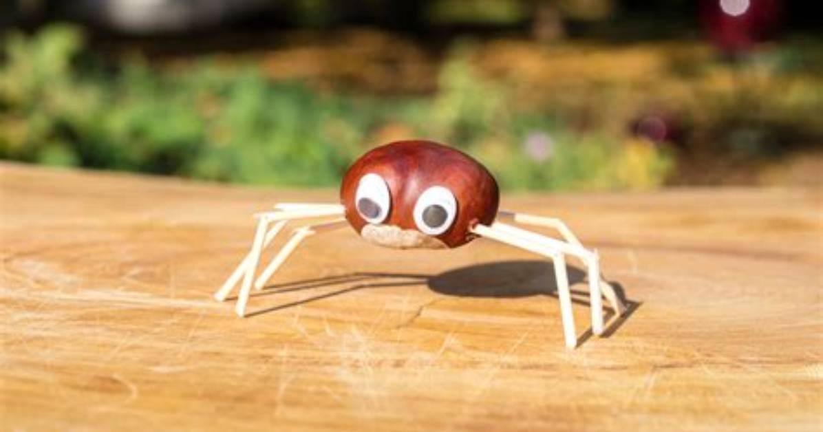 Do Conkers Kill Spiders?