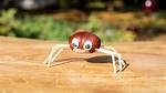 Do Conkers Kill Spiders?