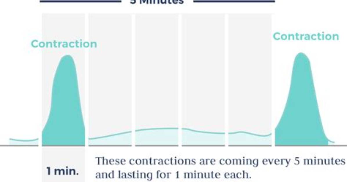 Do Contractions Count in Boggle?