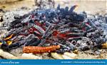 Do Corn Cobs Burn? | Contextresponse. Com