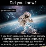 Do Corpse Decompose in Space?