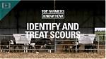 Do Cows Get Scours?