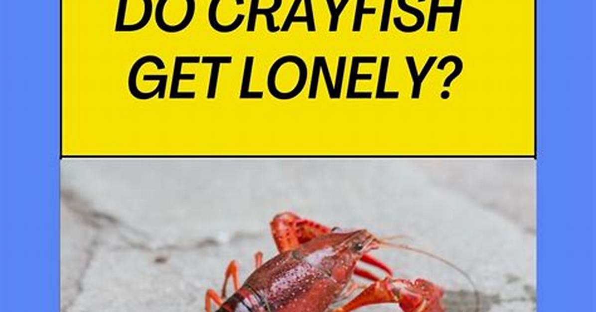 Do Crayfish Get Lonely?
