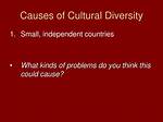 Do Cultural Differences Cause Problems?
