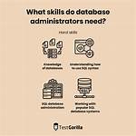 Do Database Administrators Need Programming?