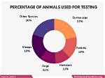 Do Davines Test on Animals?