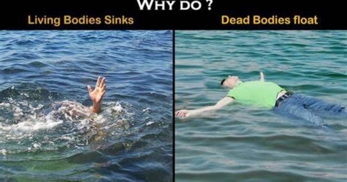 Do Dead Bodies Float Face up?