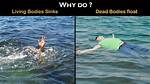 Do Dead Bodies Float Face up?