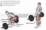 Do Deadlifts Work Middle Back?