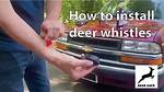 Do Deer Whistles Work