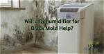 Do Dehumidifiers Help with Mold?