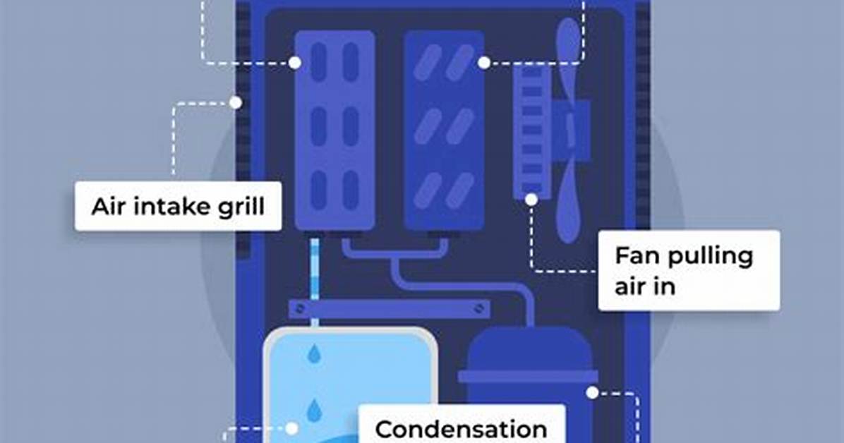 Do Dehumidifiers Really Work?