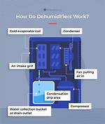Do Dehumidifiers Really Work?