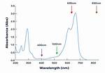 Do Different Wavelengths Affect Absorbance?