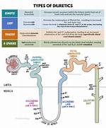 Do Diuretics Increase Creatinine Levels?