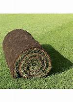 Do Dobbies Sell Turf?