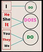 Do Does He She?