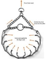 Do Dog Prong Collars Work?