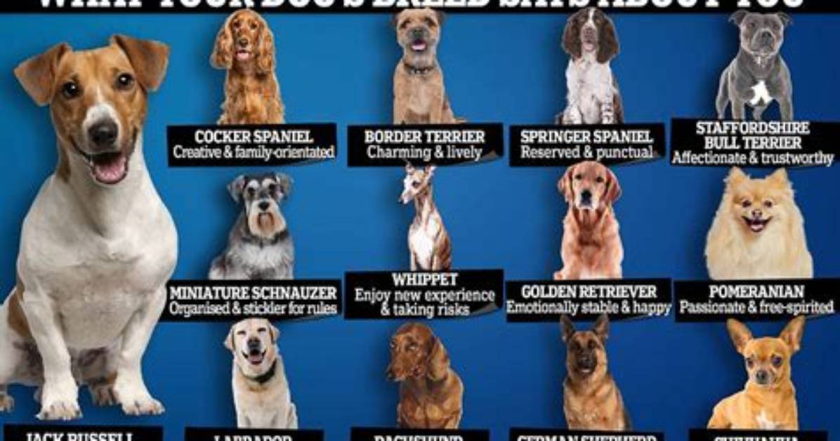 Do Dogs Have Thumbnails?
