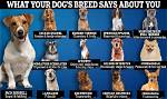 Do Dogs Have Thumbnails?