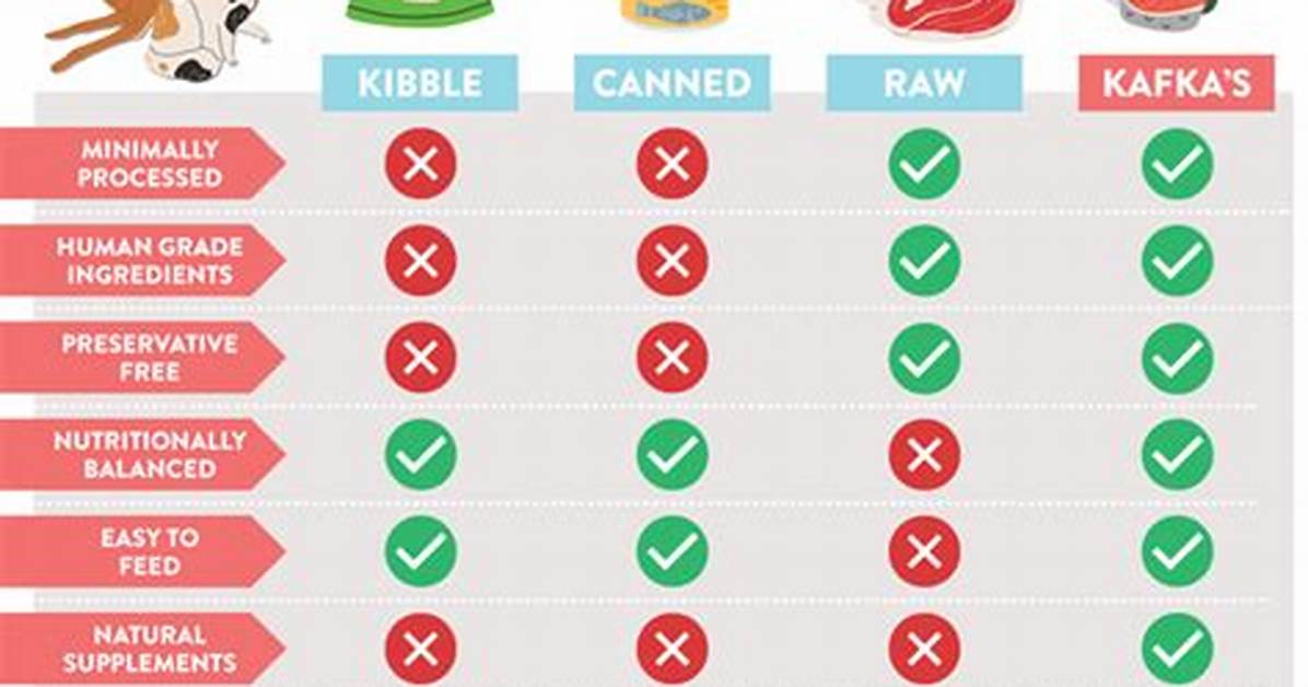 Do Dogs Like Kibble?