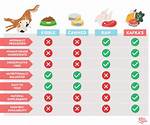 Do Dogs Like Kibble?