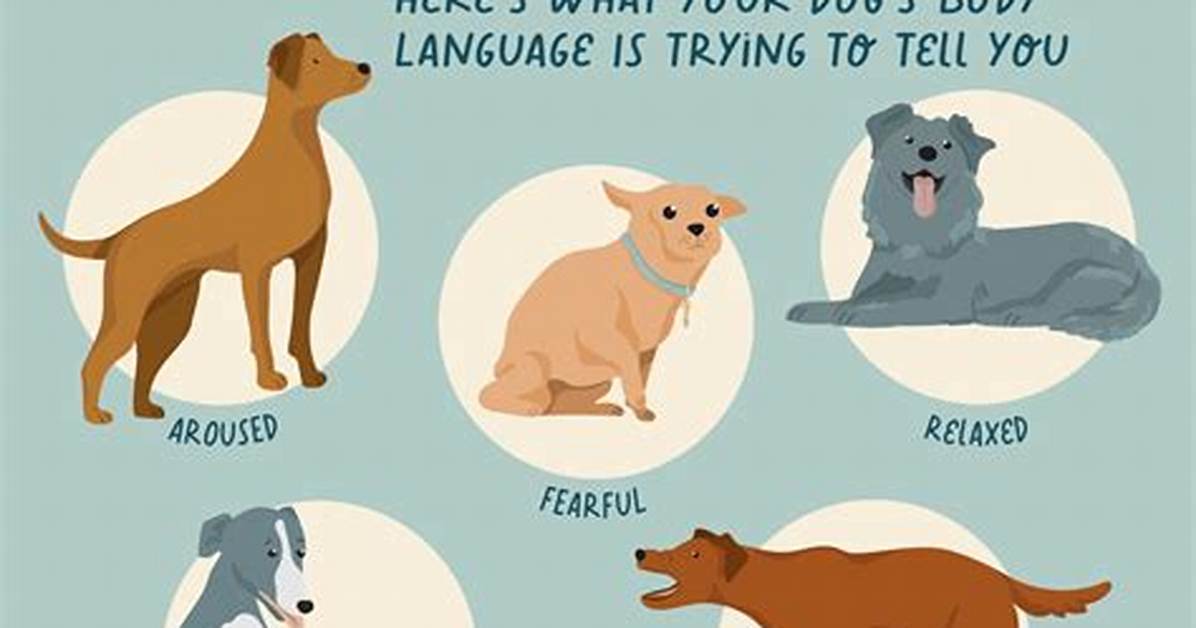 Do Dogs Like Shouting?