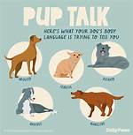 Do Dogs Like Shouting?