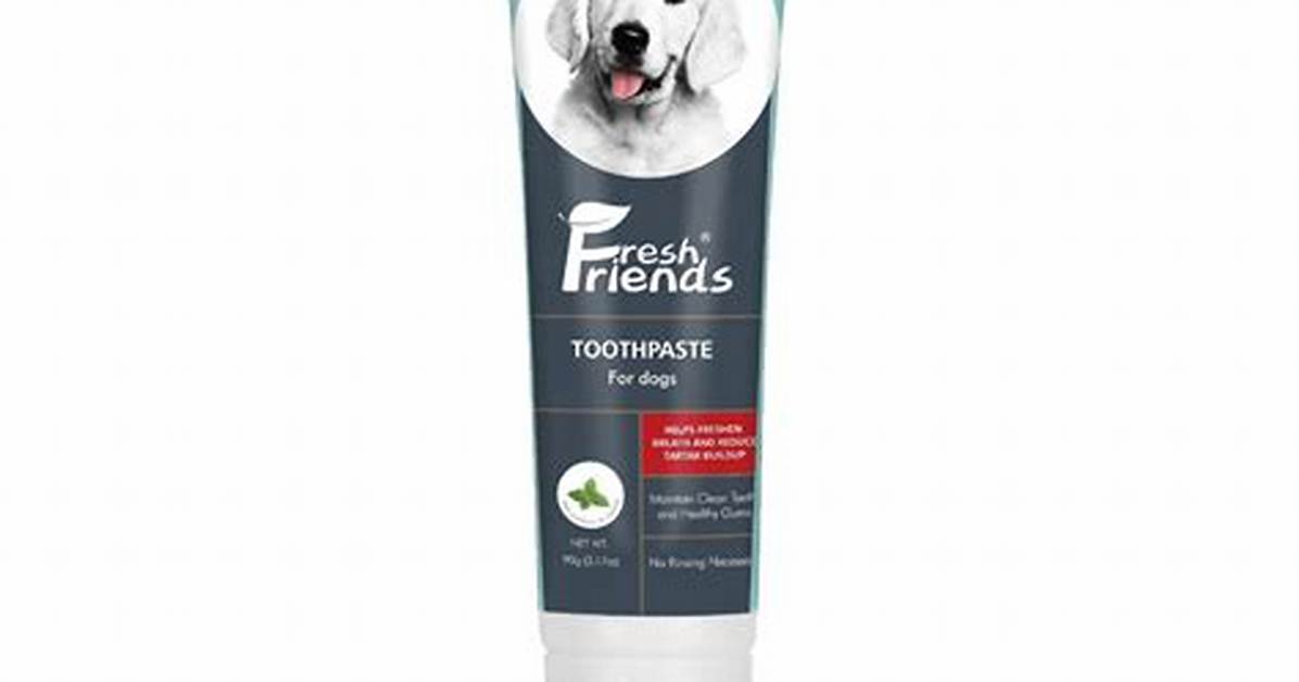 Do Dogs Need Toothpaste?