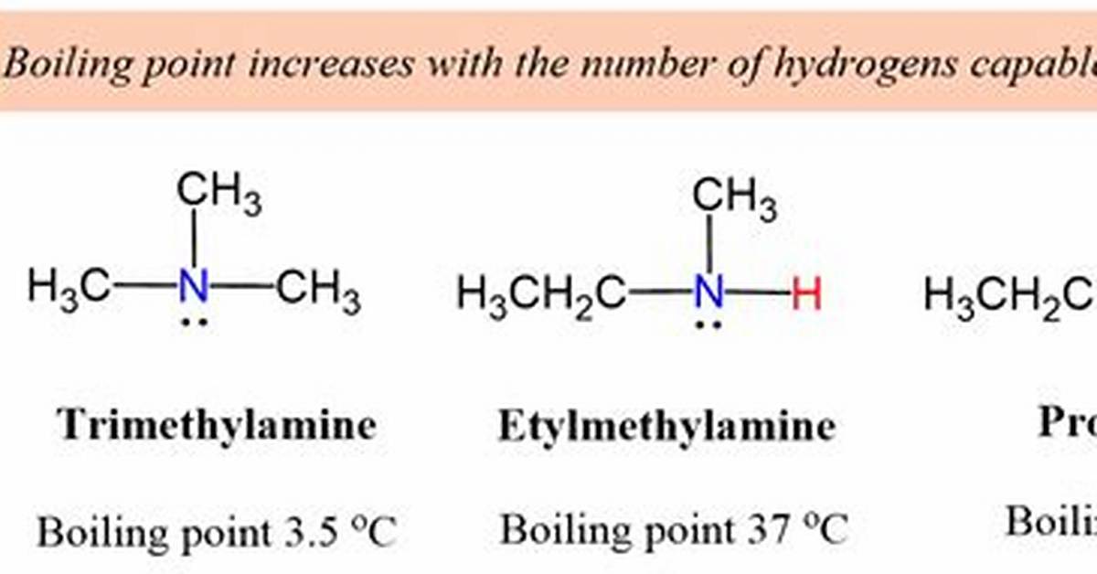Do Double Bonds Increase Boiling Point?