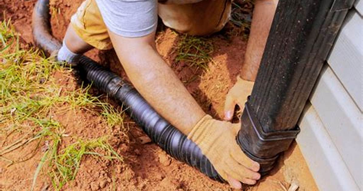 Do Downspout Strainers Work