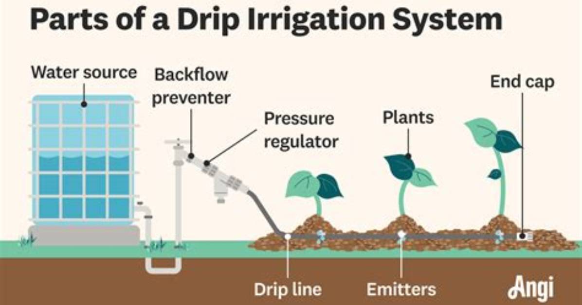 Do Drip Irrigation Systems Work?