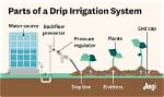 Do Drip Irrigation Systems Work?