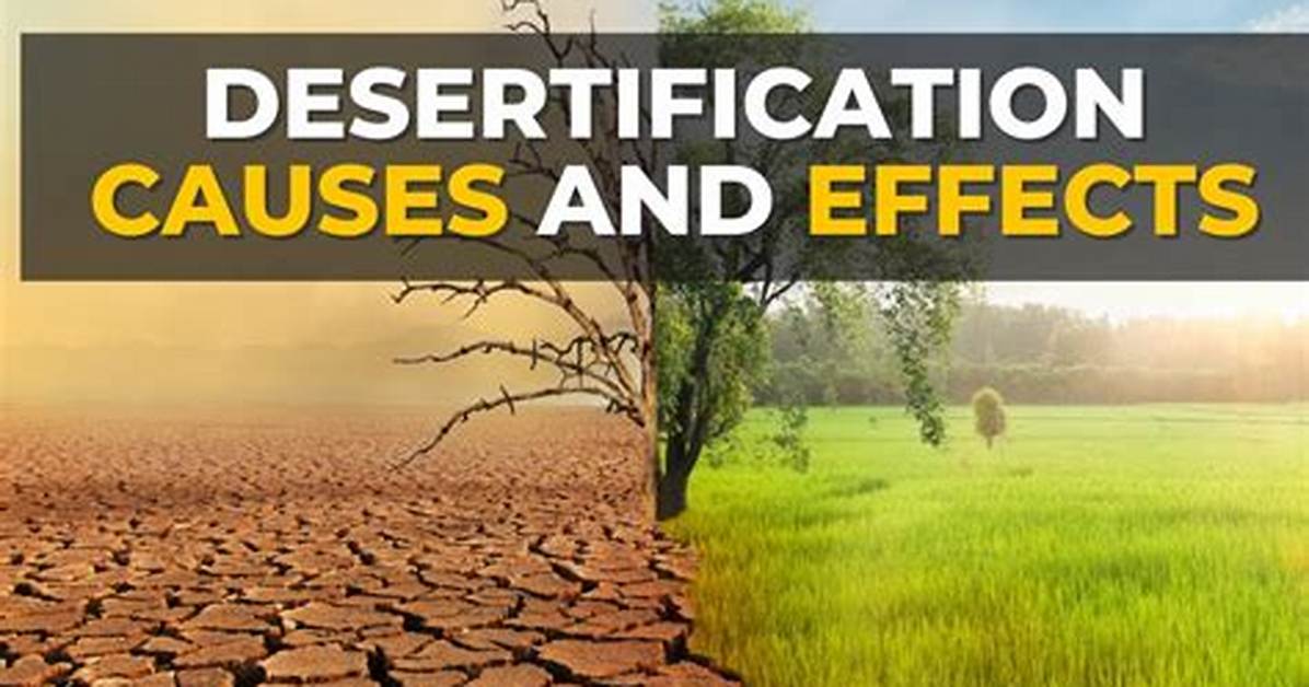 Do Droughts Cause Desertification?