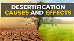 Do Droughts Cause Desertification?