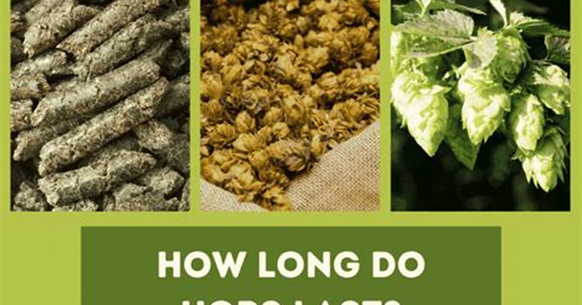 Do Dry Hops Add Bitterness?