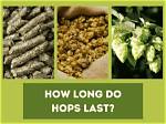 Do Dry Hops Add Bitterness?
