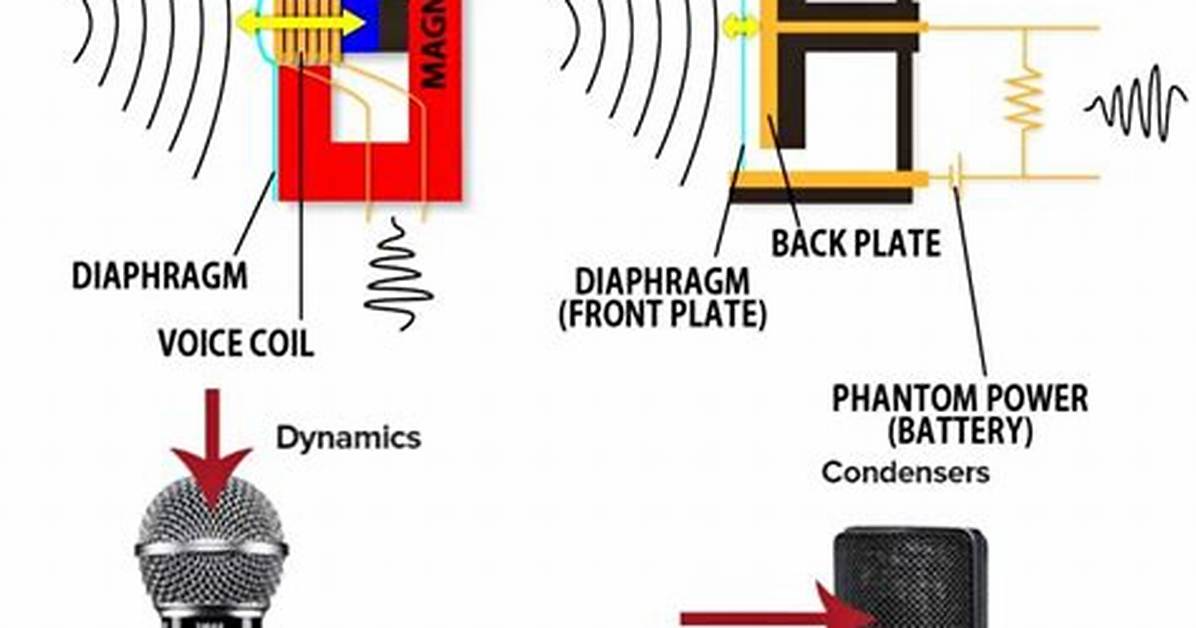 Do Dynamic Mics Need Phantom Power?