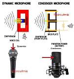Do Dynamic Mics Need Phantom Power?
