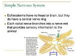Do Echinoderms Have a Central Nervous System?