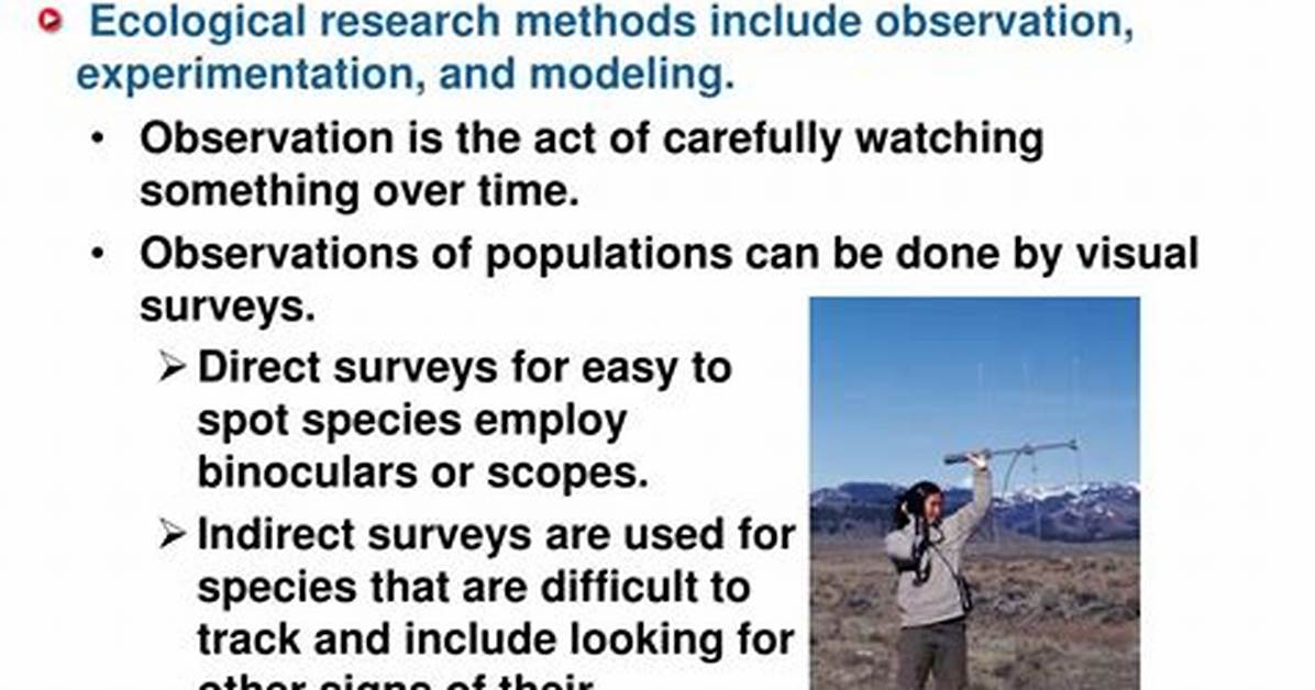 Do Ecologists Use Modeling?